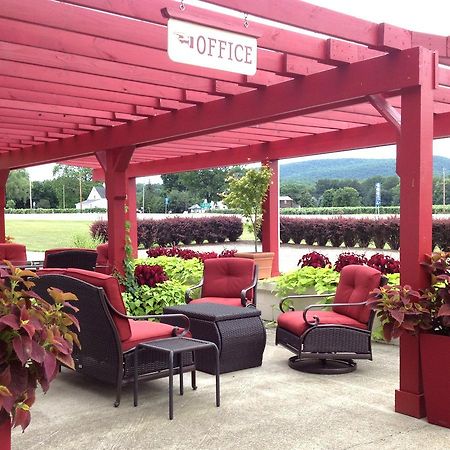Vinehurst Inn & Suites Hammondsport Exterior foto